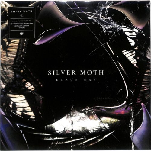 Silver Moth - Black Bay EU NEW